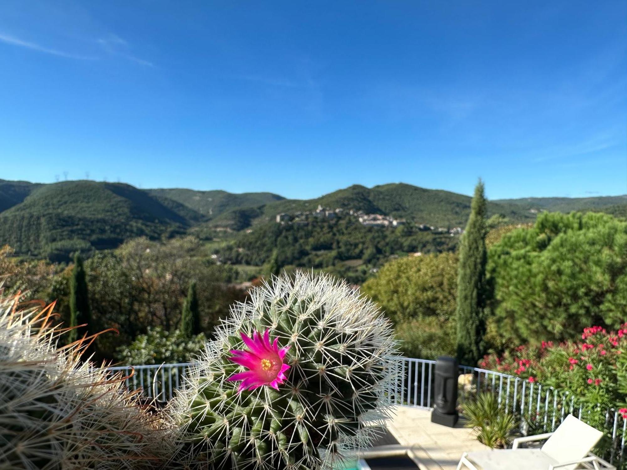 Bastide Saint-Thomé エクステリア 写真